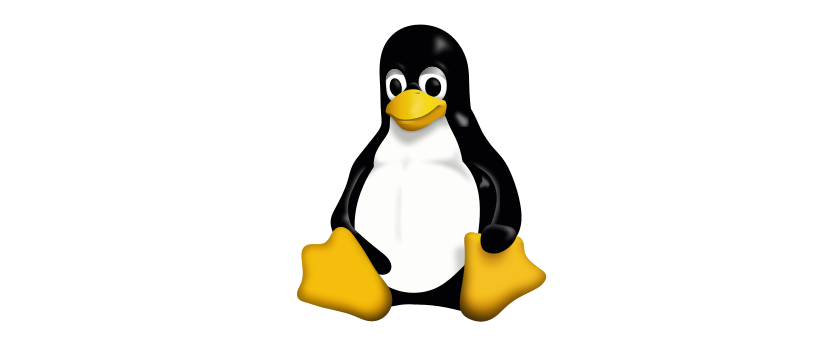 Jak sprawdzić jakiej wersji Linux'a używamy